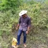 Dharanidhar Naik