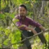 Mohd Anwar Alam