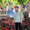 Dhirendra Kumar