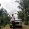 s zulfan