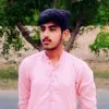 Husnain Sher SEO Expert