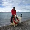 Lu Shao