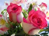 abrar ahmed