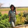 Dimpho Tracy Mamahlodi