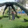Tulshi kumari