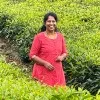 Kalaiarasi