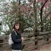 Yannie IP