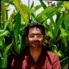 Nivedith