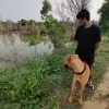 Ritwik