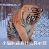 Taorong Jian