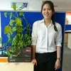 Dao Nguyen