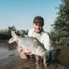 Terry Jepsen