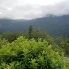 Sri Harshini