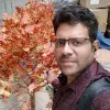 Pradeep Subramani