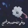 Alshaimaa Mohamed