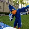 Cecil Sagehen