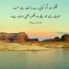 Jehanzeb Afridi