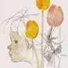 Joy Connolly