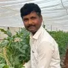 Shravankumar Rajur