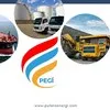 PT Putera Energi Gemilang Indonesia