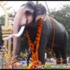 Pottachira Kumaran Vimal kumar
