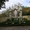 Arun babu