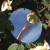 Jisha