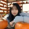 Tianqi Lan