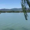 Haitao