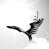 M Maaz
