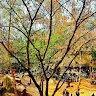Vamshi Nill