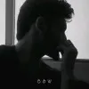 Shahzeb Munir