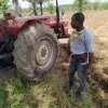 Adedeji David