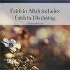 Tasnim Fatima