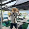 Duy Mai