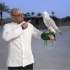 Kareem Ismail