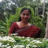 JIJI ANTONY