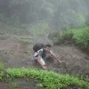 Sunil Majhi