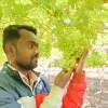 Roshan Zoman
