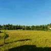 Abilash