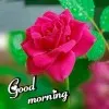 Phani Kumar