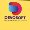 Sr Project Manager