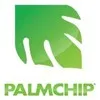Manzoor ul Amin HR Palmchip