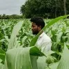 yg ajay
