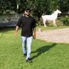 Shubham Dwivedi