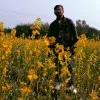 Sourajit Roy
