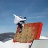Sean Morrison