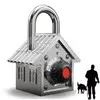 alpha force security inc