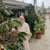 Olive Chen