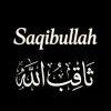 Saqibullah Noorzai
